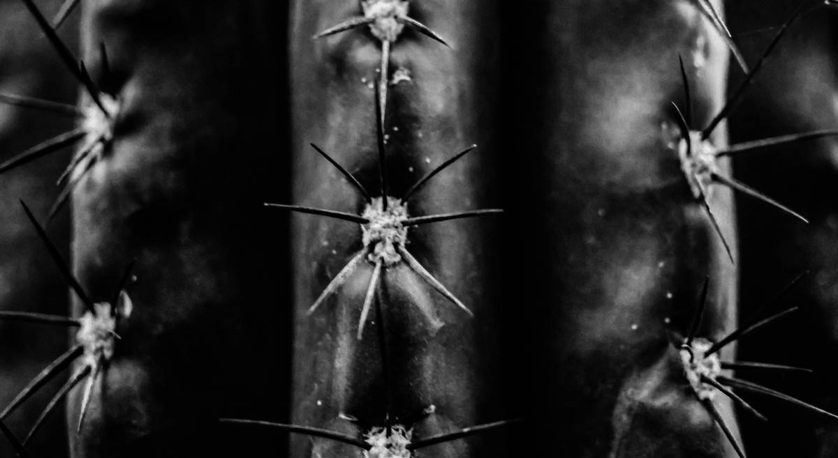 Hérnia de disco: aprenda suas causas, e faça um tratamento por meio do bioalinhamento.